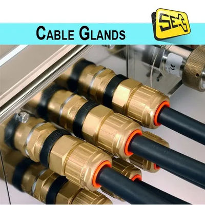 M14X1.5 (((4-8) Nickelplattierte Messingdrüsenanschluss für Kabel IP68 Wasserdichte Kabeldrüse